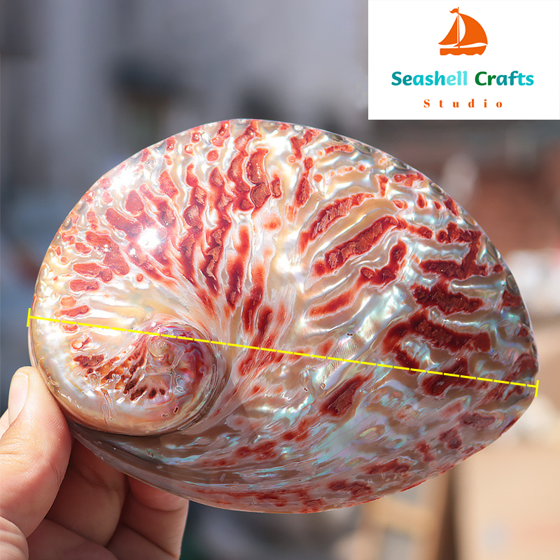 Home Decoration Red Pattern Ab - Marine Aquarium Decorations incelemesi ve fiyatı