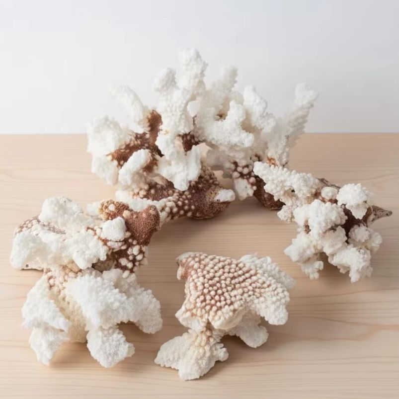1pc Natural White Coral Cluste - Aquarium And Marine incelemesi ve fiyatı