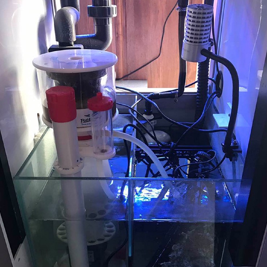 220V Bubble Magus Curve5 Aquar - Protein Skimmer Hang On incelemesi ve fiyatı